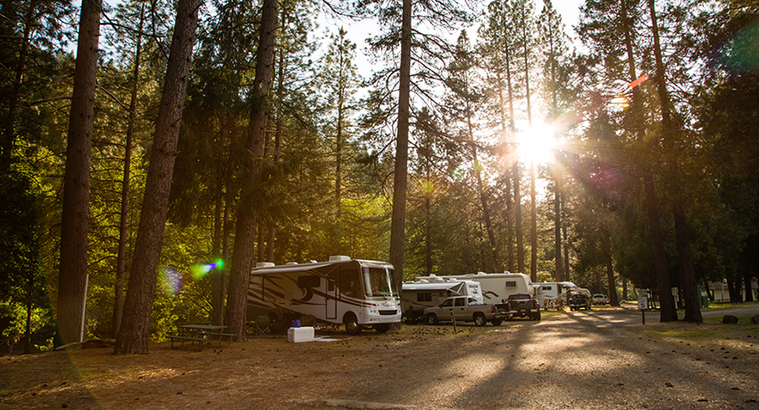 RV's at a Campground