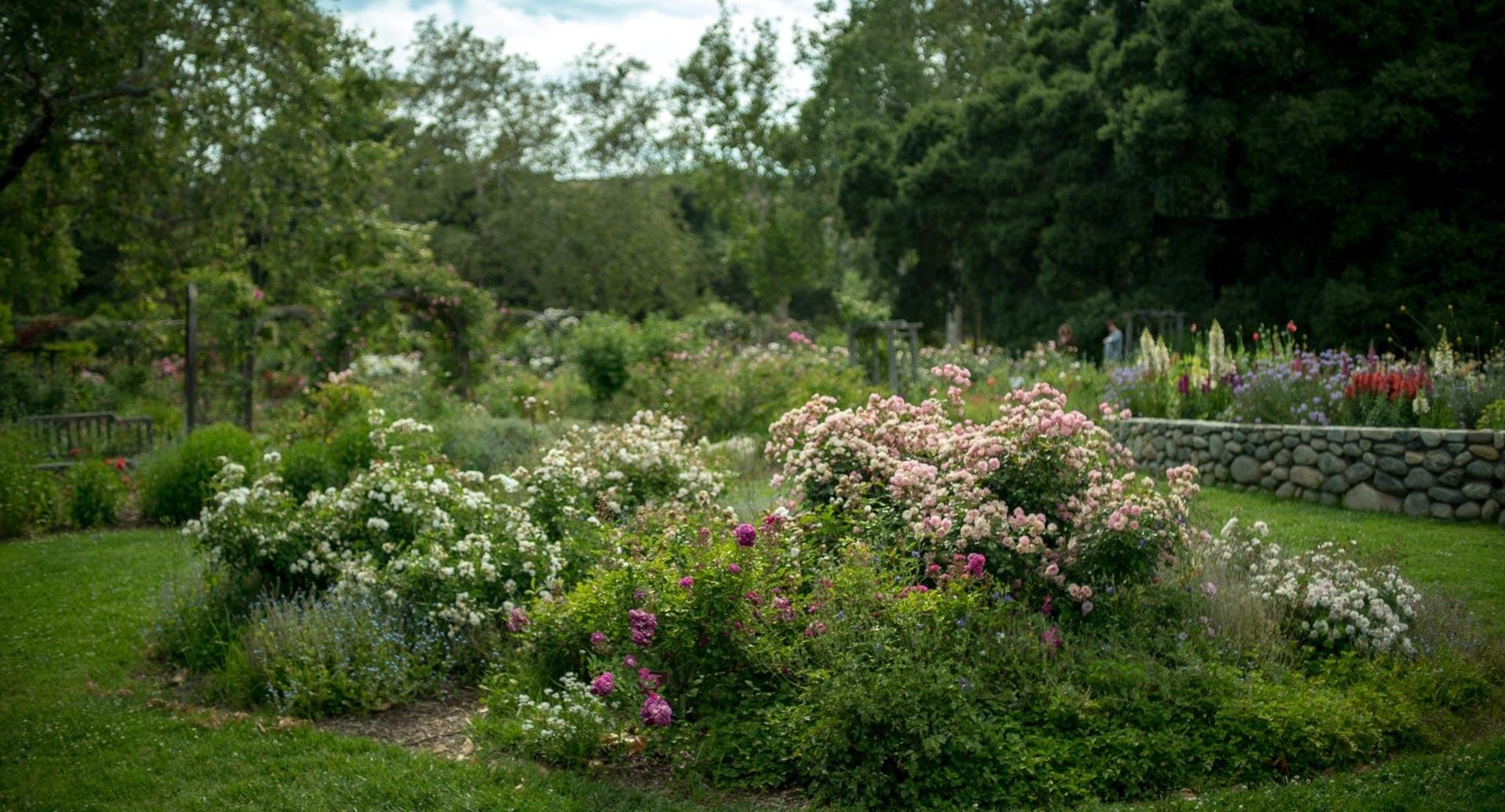 What’s at Descanso Gardens Los Angeles?